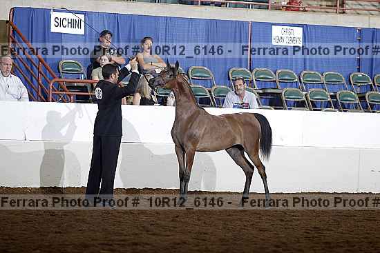 Proof Number 10r12_6146