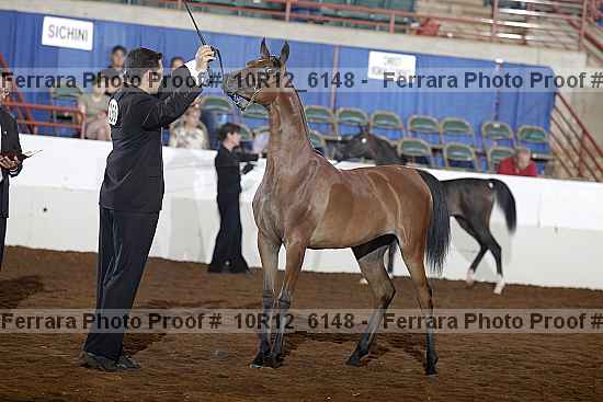 Proof Number 10r12_6148