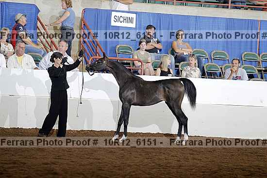 Proof Number 10r12_6151