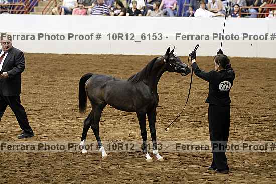 Proof Number 10r12_6153