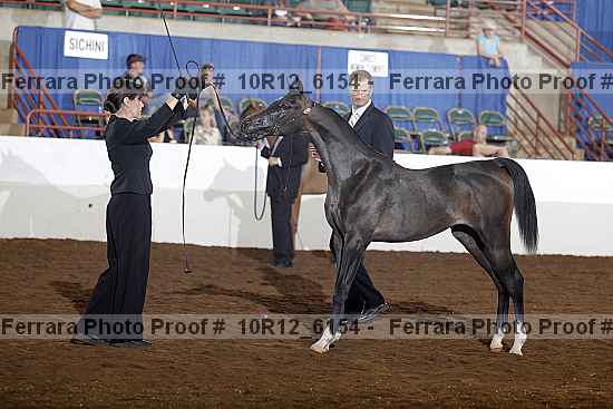 Proof Number 10r12_6154