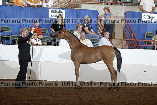 Proof Number 10r12_6158