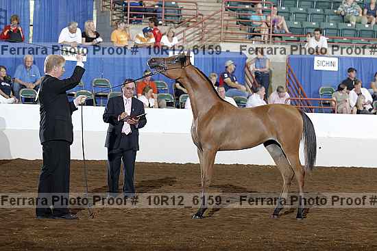 Proof Number 10r12_6159