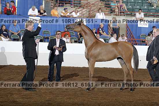 Proof Number 10r12_6161