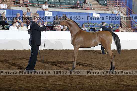 Proof Number 10r12_6163