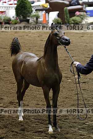 Proof Number 10r12_6164