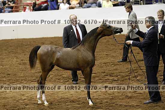 Proof Number 10r12_6170