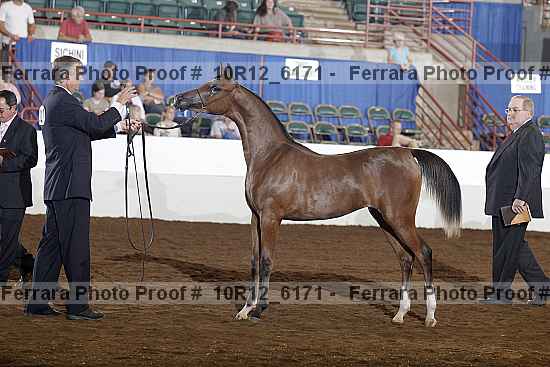 Proof Number 10r12_6171