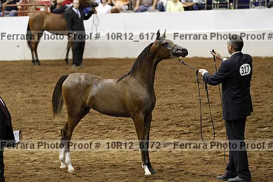 Proof Number 10r12_6172
