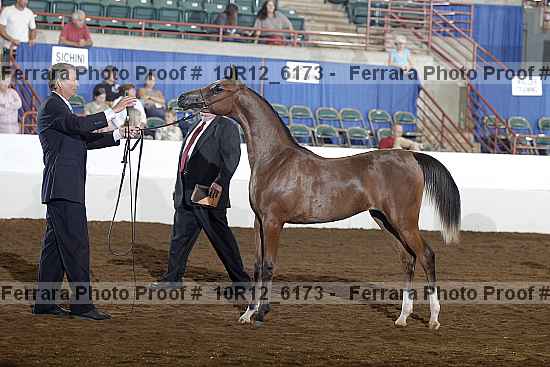 Proof Number 10r12_6173
