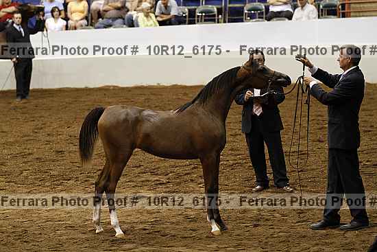 Proof Number 10r12_6175