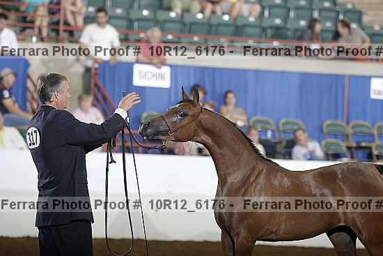 Proof Number 10r12_6176