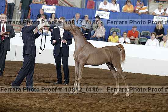 Proof Number 10r12_6186