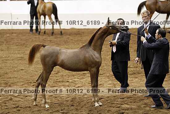 Proof Number 10r12_6189