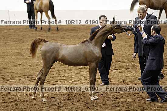 Proof Number 10r12_6190