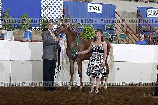 Proof Number 10r12_6195