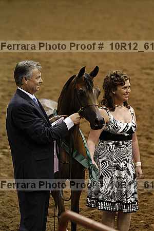 Proof Number 10r12_6199