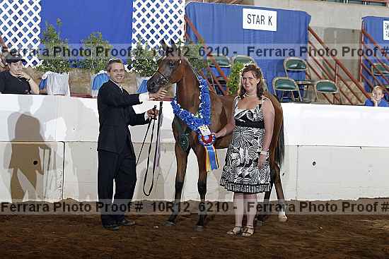 Proof Number 10r12_6210