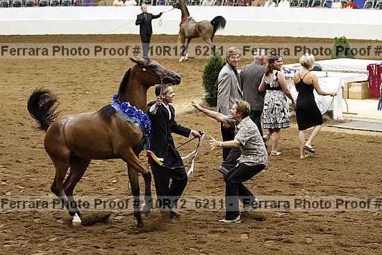 Proof Number 10r12_6211