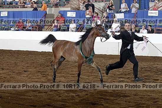 Proof Number 10r12_6218