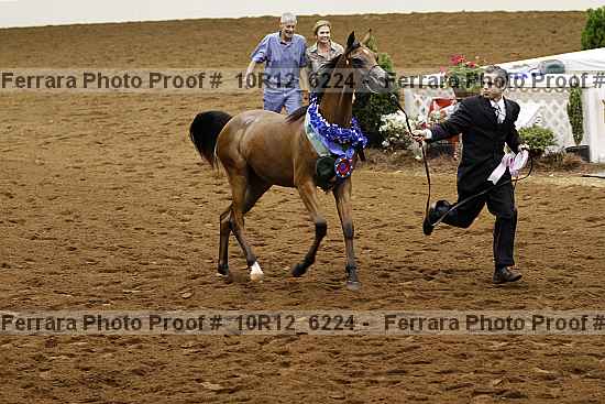 Proof Number 10r12_6224
