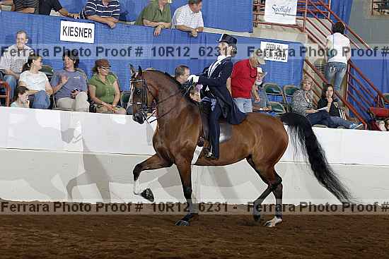 Proof Number 10r12_6231