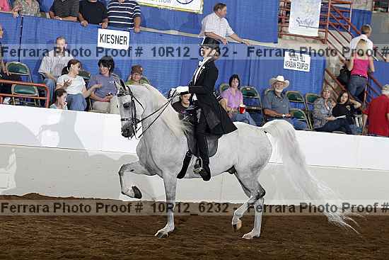 Proof Number 10r12_6232