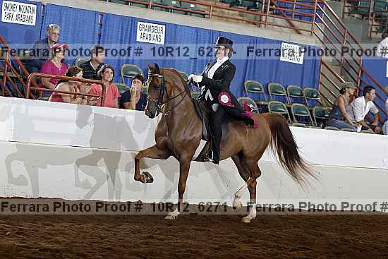 Proof Number 10r12_6271