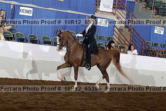 Proof Number 10r12_6539