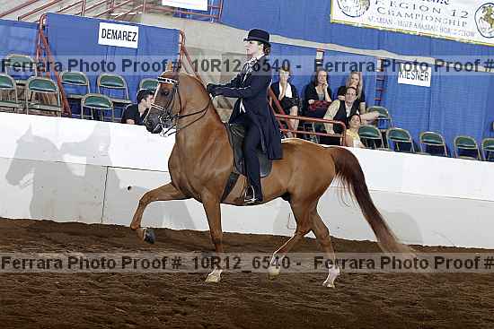 Proof Number 10r12_6540
