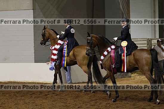 Proof Number 10r12_6566