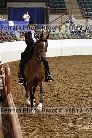 Proof Number 10r12_6567