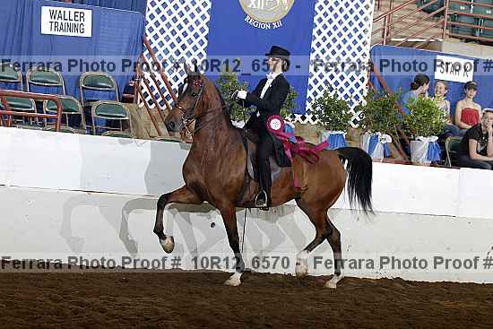 Proof Number 10r12_6570