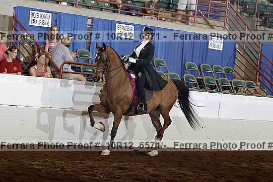 Proof Number 10r12_6571