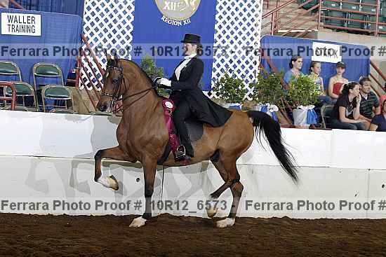 Proof Number 10r12_6573