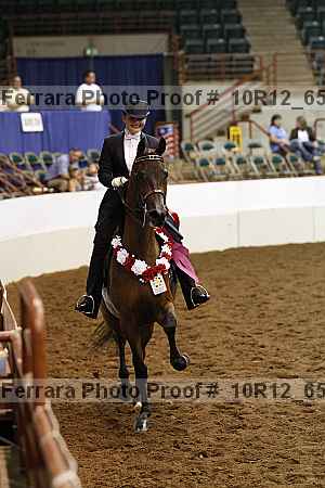 Proof Number 10r12_6578