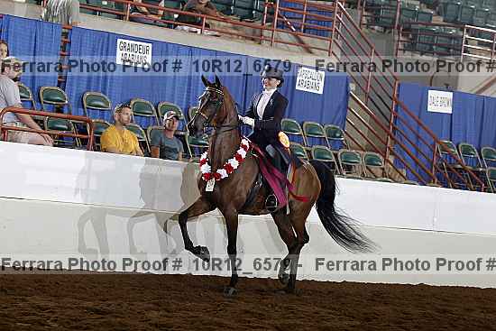 Proof Number 10r12_6579