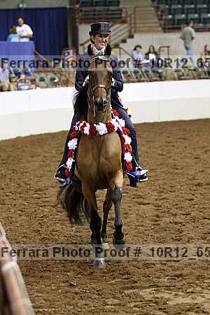 Proof Number 10r12_6583