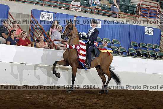 Proof Number 10r12_6584
