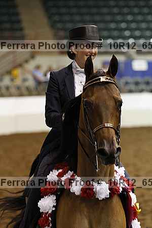 Proof Number 10r12_6587
