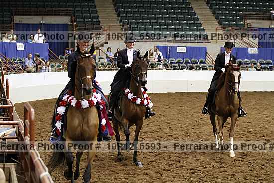 Proof Number 10r12_6593