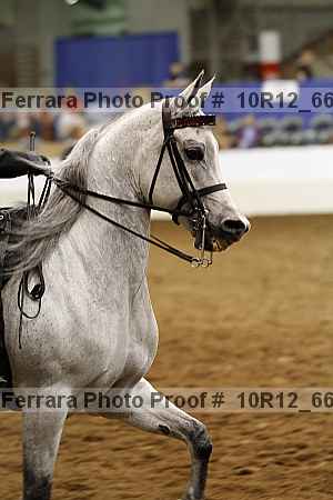 Proof Number 10r12_6609
