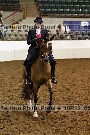 Proof Number 10r12_6641