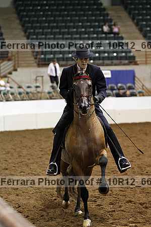 Proof Number 10r12_6663