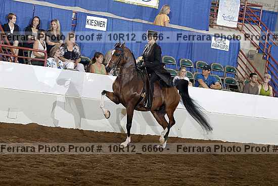 Proof Number 10r12_6666
