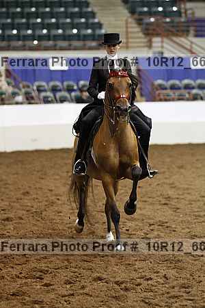 Proof Number 10r12_6667