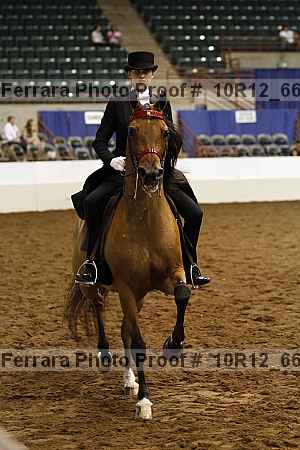 Proof Number 10r12_6677