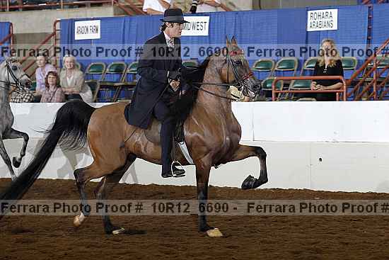 Proof Number 10r12_6690