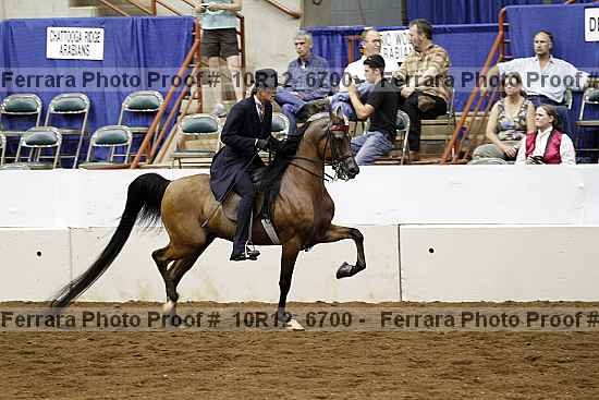 Proof Number 10r12_6700