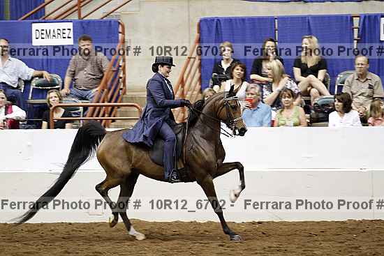 Proof Number 10r12_6702